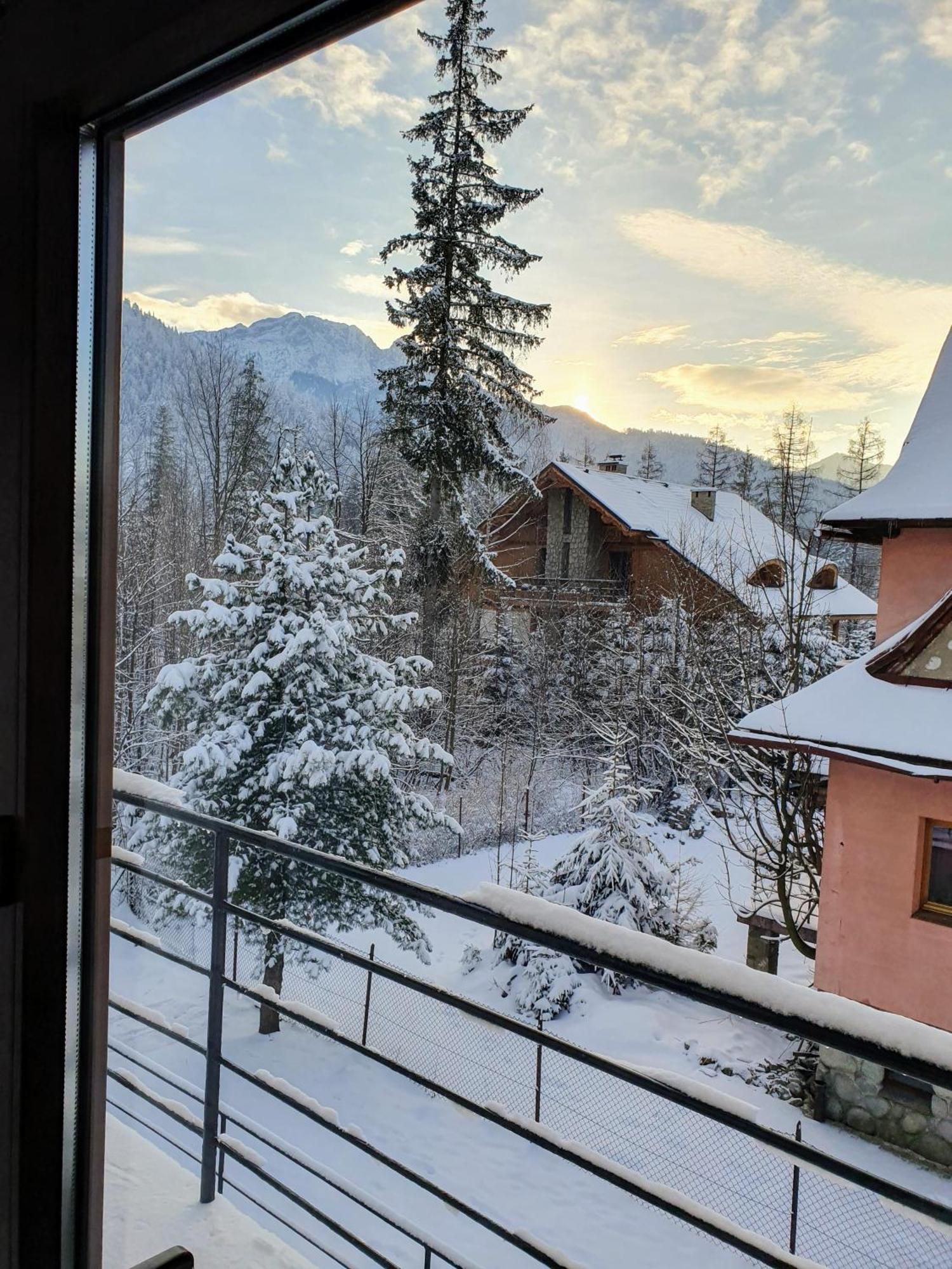 Appartement Asteria à Zakopane Extérieur photo