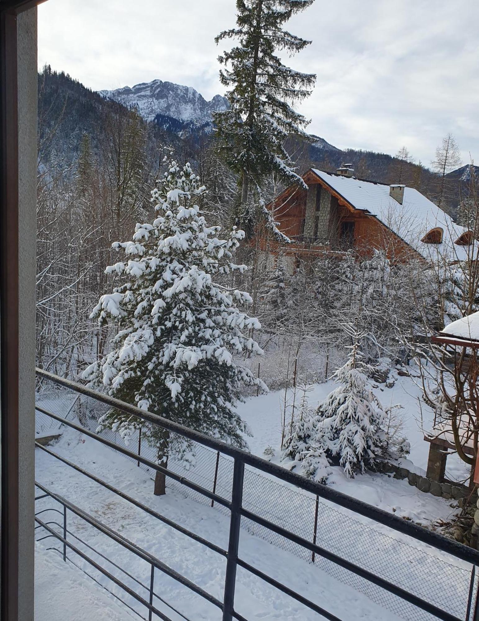 Appartement Asteria à Zakopane Chambre photo