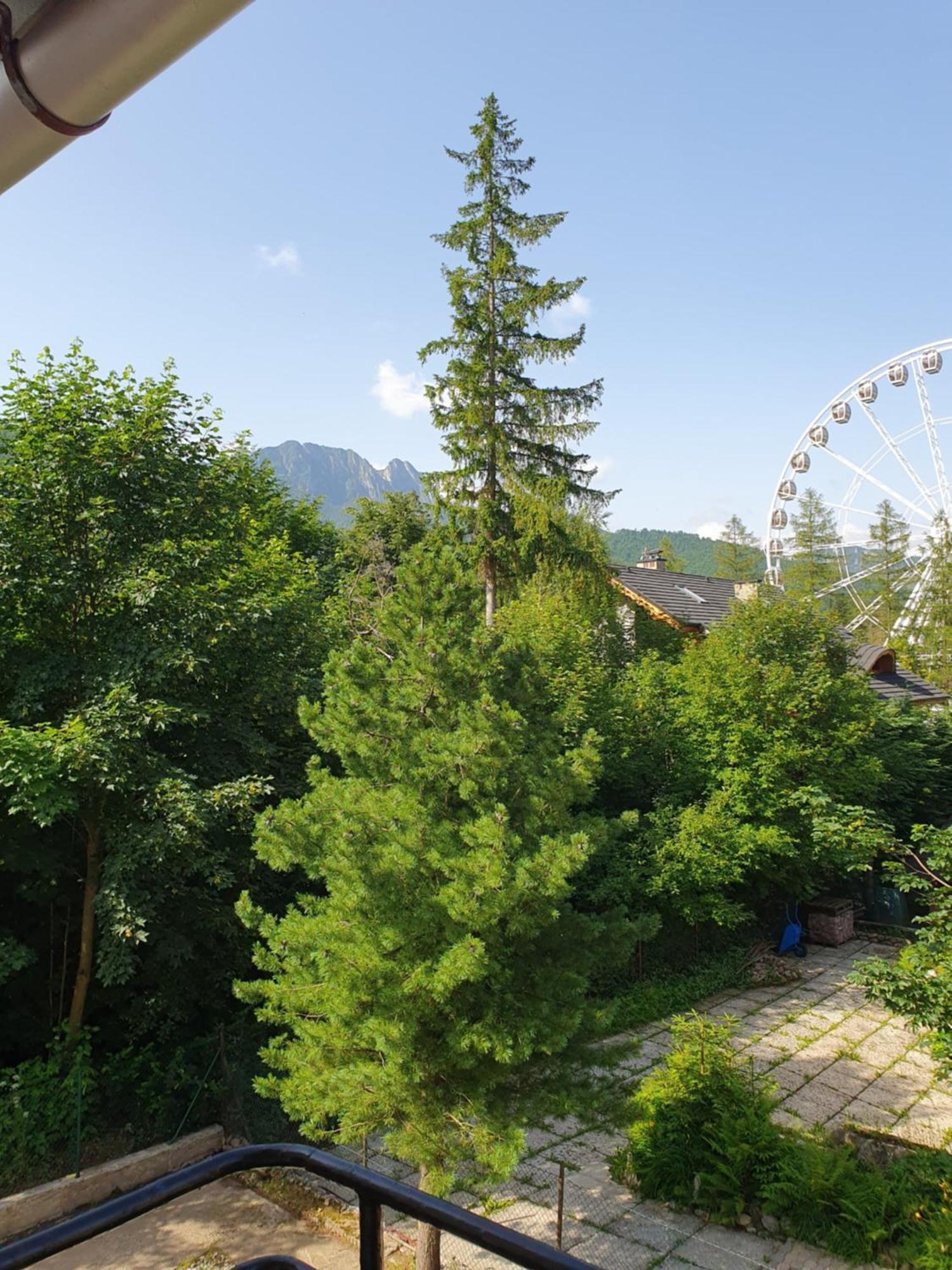 Appartement Asteria à Zakopane Chambre photo